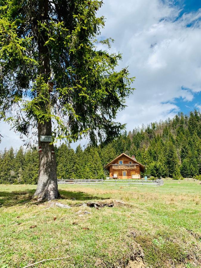 Bergheimat Lägenhet Bad Goisern Exteriör bild