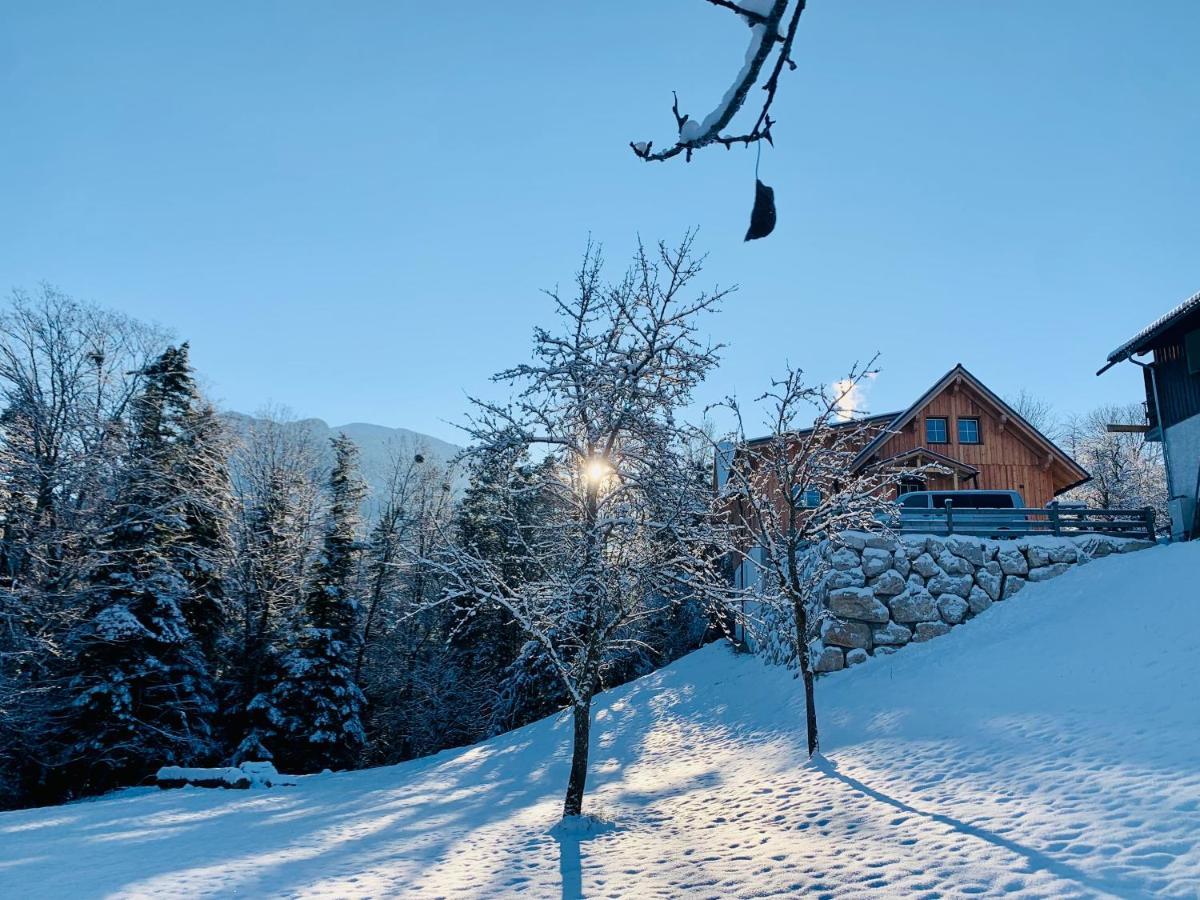 Bergheimat Lägenhet Bad Goisern Exteriör bild