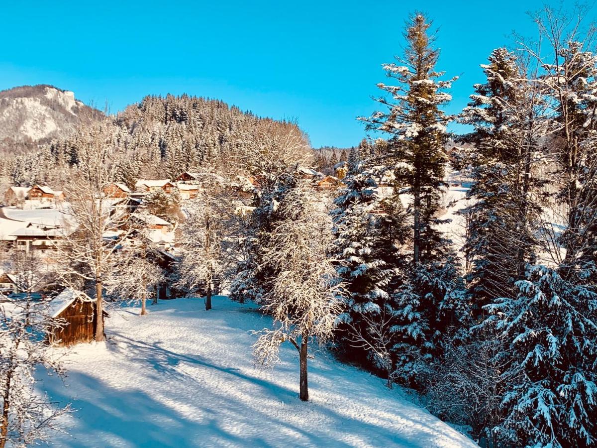 Bergheimat Lägenhet Bad Goisern Exteriör bild